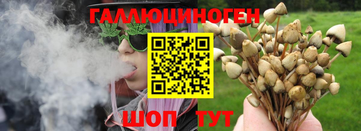 Щёлково  Галлюциногенные грибы Magic Shrooms  Вход с VPN 